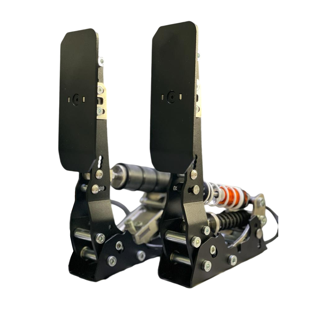 dc simracing pedale DC2 RS