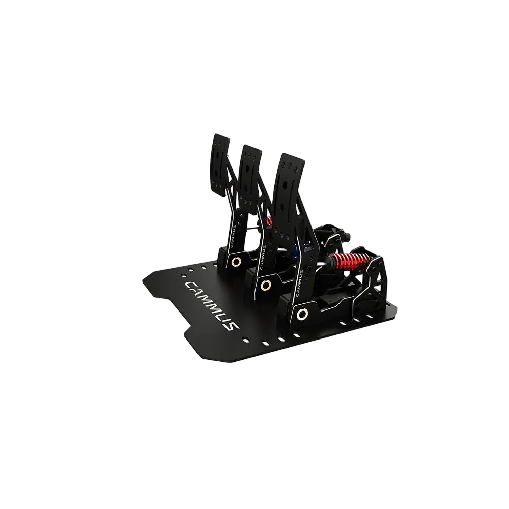 
                  
                    LC100 pedals - GermanSimRacing
                  
                