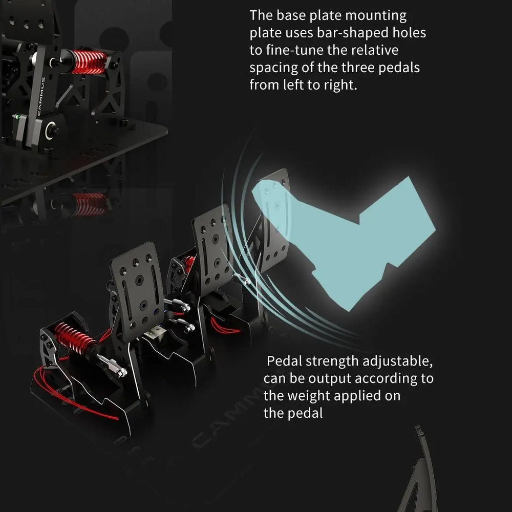 
                  
                    LC100 pedals - GermanSimRacing
                  
                