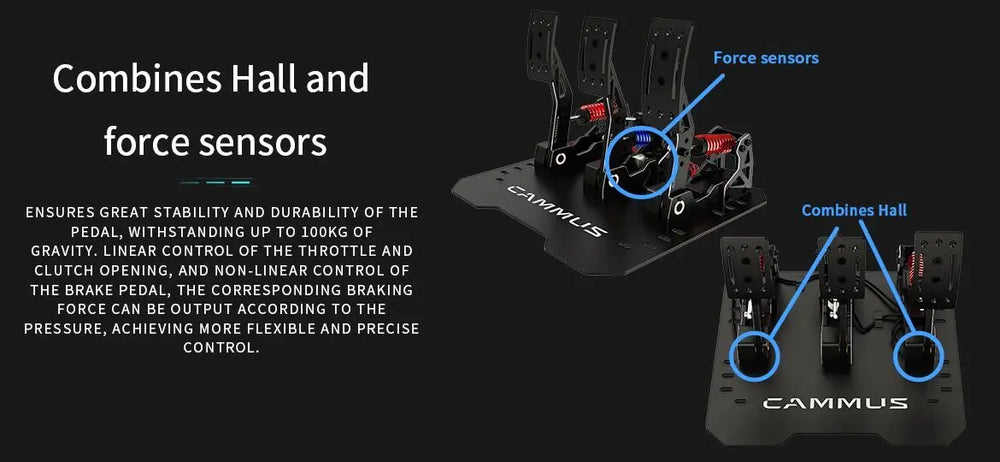 
                  
                    LC100 pedals - GermanSimRacing
                  
                